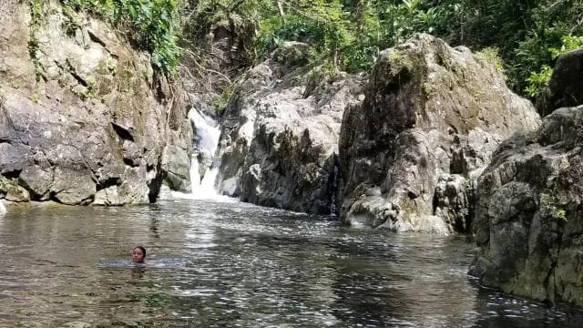 P-up/ San Juan: El Yunque Half-Day Tour with Transportation - Photo 2 (Gallery view)