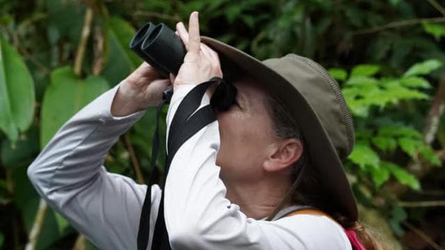 Manuel Antonio National Park: All-Inclusive Guided Tour - Photo 3 (Gallery view)