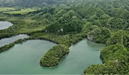 Las Terrenas: Los Haitises Boat and Walking Tour with Lunch - Dominican Republic