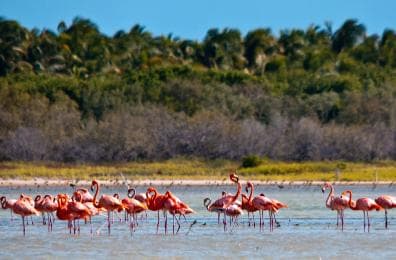 Jaragua National Park: Explore Laguna de Oviedo - Photo 2 (Gallery view)