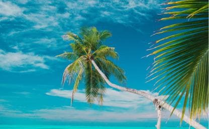 Private: Isla Saona VIP Escape Luxury Beach & Speedboat Tour - Photo 2 (Gallery view)