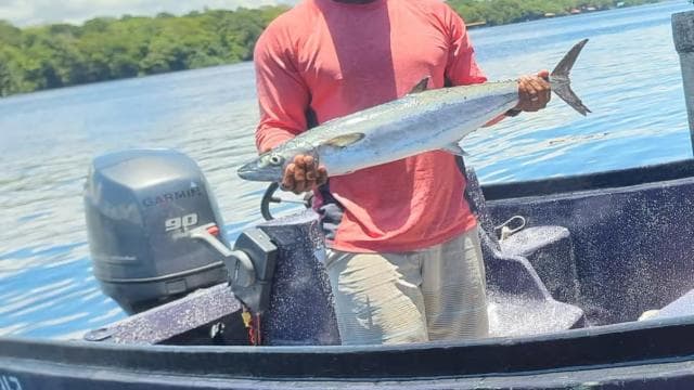 Fishing Tour - Photo 2 (Gallery view)