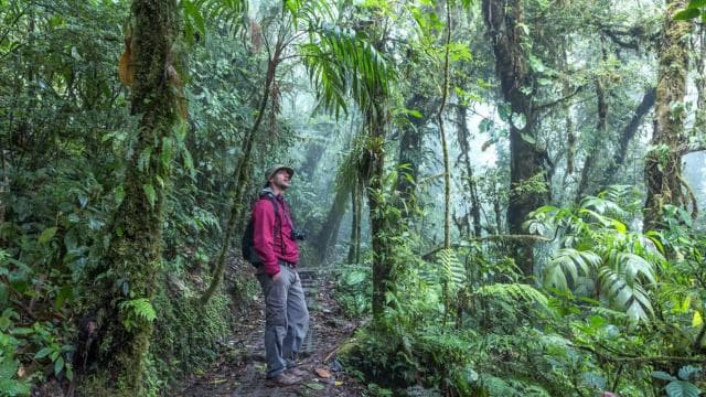 La Fortuna: Arenal Volcano, Lunch, & Hotsprings Morning Tour - Photo 4 (Gallery view)