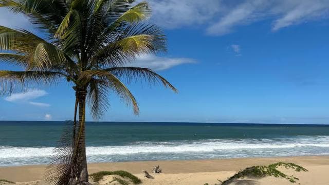 San Juan - Arecibo: midwest expedition waterfalls and beach - Photo 5 (Gallery view)