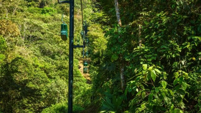 From San Jose: 6-in-1 Rainforest Bridges & Cables Adventure - Dominican Republic