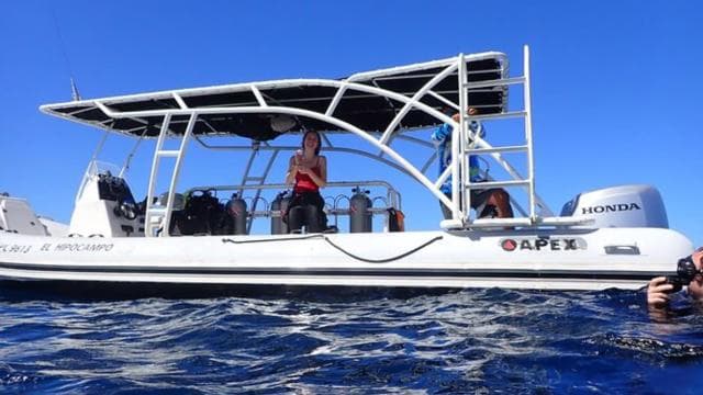 Tamarindo: Prive Snorkeling Boat Charter Guanacaste - Photo 3 (Gallery view)
