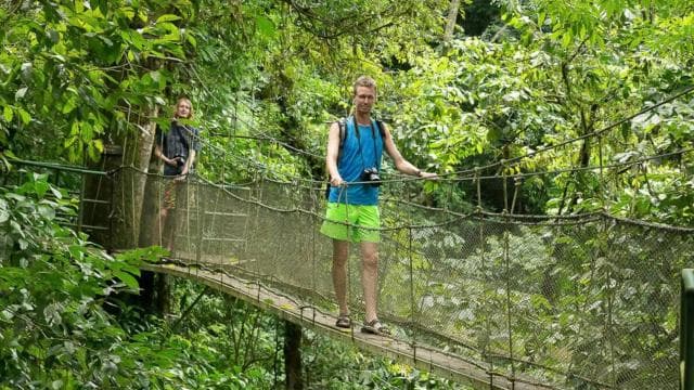 Manuel Antonio: Rainmaker Park Bridge & Waterfall Tour - Photo 5 (Gallery view)