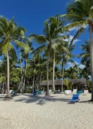 Private: Boca Chica to Saona Island Full-Day Cruise - Photo 5 (Gallery view)