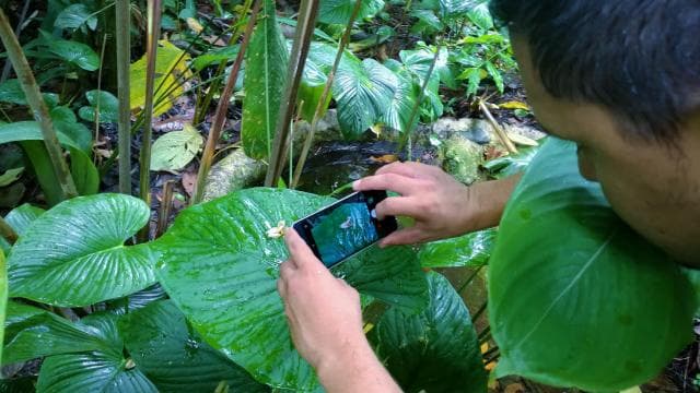 La Fortuna: метелики, птахи, лінивці та екскурсія стежками - Photo 4 (Gallery view)