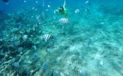 Snorkeling Tour & Sosua Beach Day - Photo 2 (Gallery view)