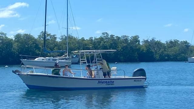 From La Parguera: Local Sandbars Speedboat Day Trip - Photo 4 (Gallery view)