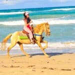 Macao Beach & Forest Horseback Adventure - Dominican Republic