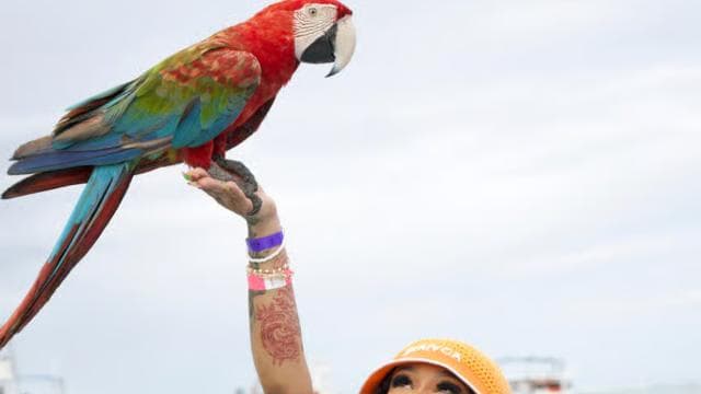 Punta Cana Booze Cruise, Snorkeling, with Sand-Bar - Photo 2 (Gallery view)