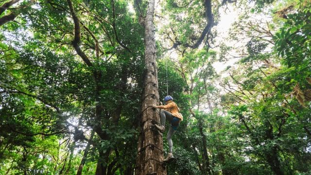 Monteverde: Adventure-Mania Zipline & Challenge Course 5in1 - Photo 2 (Gallery view)