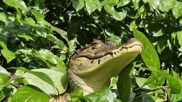 3-hour experience through the channels of the National Park. - Dominican Republic