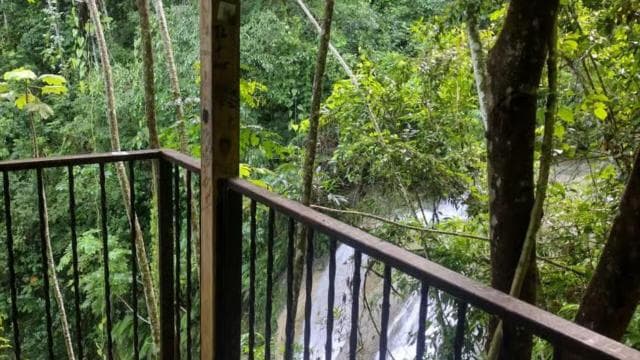 Puerto Rico: Gozalandia River Hiking and Waterfall Tour - Photo 5 (Gallery view)