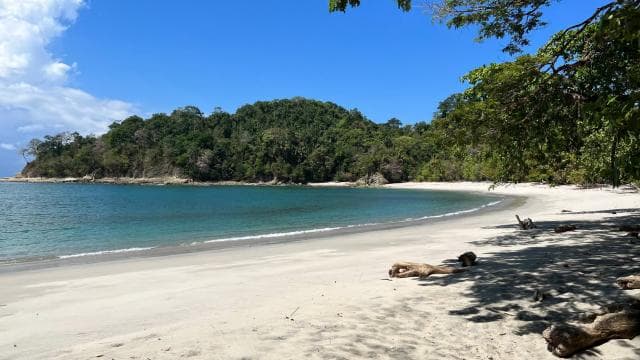 PRIVATE TOUR Manuel Antonio park - Photo 3 (Gallery view)