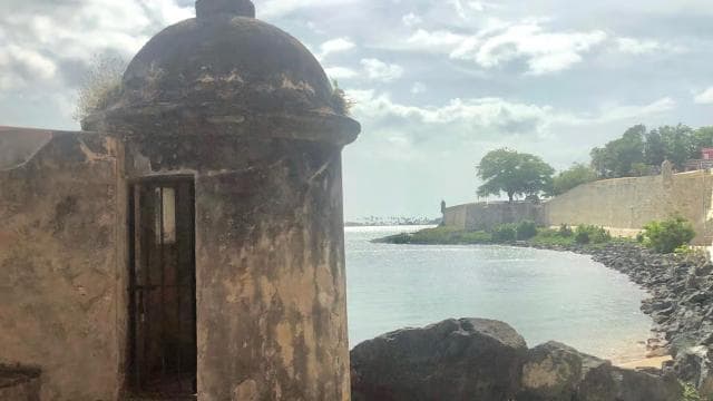 San Juan: Bacardi Rum Distillery and Old San Juan Combo Tour - Photo 4 (Gallery view)