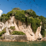 From Samana: Los Haitises Boat and Walking Tour with Lunch - Photo 4 (Gallery view)