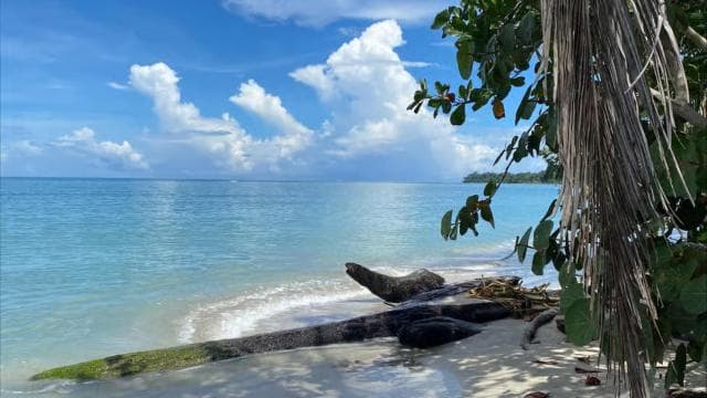 Cahuita: Túra s průvodcem přes národní park Cahuita - Dominican Republic