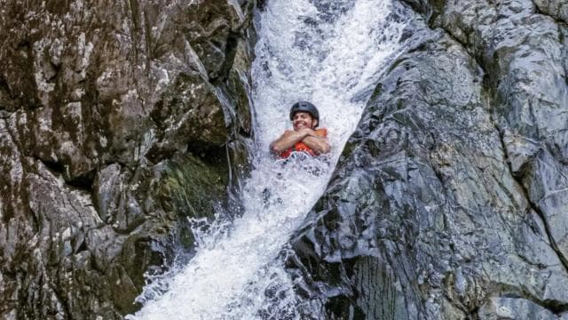 Puerto Rico: El Yunque Rainforest Guided Tour with Transfers - Photo 4 (Gallery view)