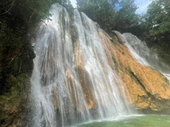 Las Terrenas: El Limón Waterfall Trekking Tour in Samana - Photo 3 (Gallery view)