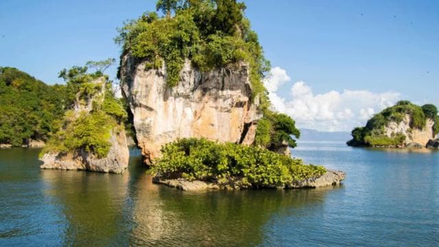 Haitises & Montaña Redonda: Nature's Beauty Tour - Photo 4 (Gallery view)
