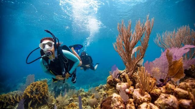 Las Catalinas: Discover Scuba Diving at Flamingo & Tamarindo - Photo 5 (Gallery view)