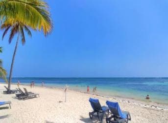 Private: Catalina Island Snorkel Dive Day Trip from Bayahibe - Dominican Republic