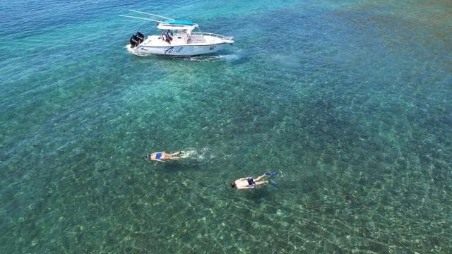 Guanacaste: Beach Exploration Tour with Local Guide - Photo 2 (Gallery view)