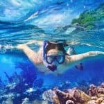 Punta Cana: Saona Island Day Trip with Lunch and Drinks - Photo 3 (Gallery view)