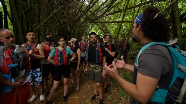Soti nan San Juan: El Yunque Rainforest & Bio Bay Kayak Combo - Photo 5 (Gallery view)