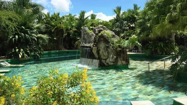 San José: Arenal Volcano, Waterfalls, Coffee and Hot Springs - Photo 3 (Gallery view)