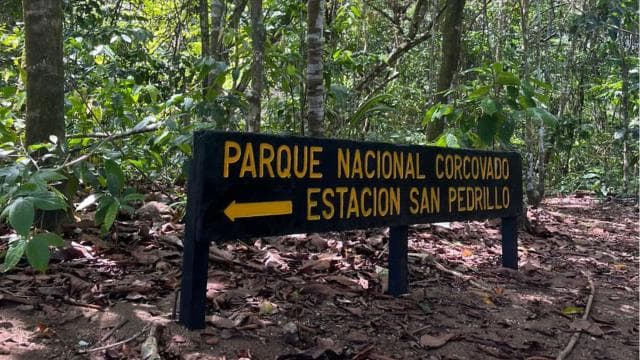Uvita: Hiking in Corcovado National Park - Photo 3 (Gallery view)