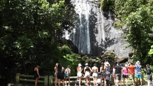 San Juanból: Rainforest Walk, Nature Swim és Luquillo Beach - Photo 2 (Gallery view)