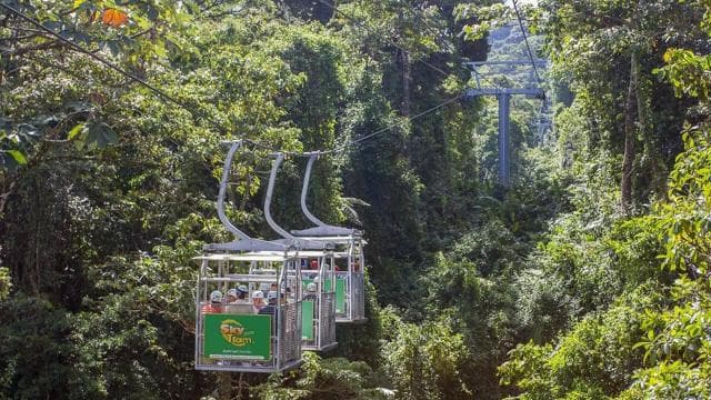 Monteverde: 3-in-1 Sky Tram, Sky Trek and Sky Walk - Dominican Republic