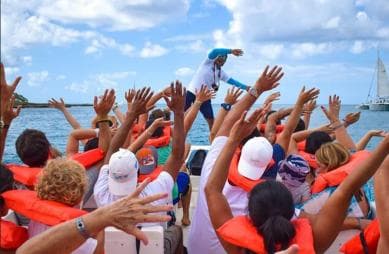 Punta Cana: Denní prohlídka ostrova Saona a katamaránová párty - Photo 2 (Gallery view)