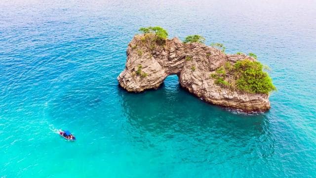 Santa Teresa: Tortuga Island Full Day Boat Tour with Snorkel - Photo 5 (Gallery view)