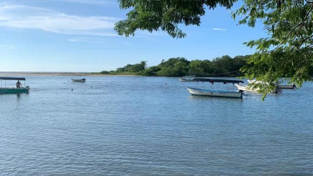 Tamarindo Estuary: Explore by Boat or Kayak - Choose your tour! - Dominican Republic