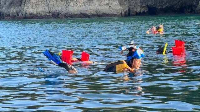 Manuel Antonio: Ocean Kayak and Snorkeling in Biesanz Beach - Photo 3 (Gallery view)