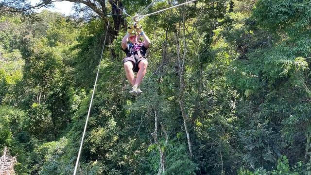 Manuel Antonio: Zipline Canopy Tour with Butterfly Garden - Dominican Republic