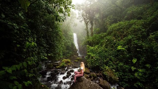 From San Jose: La Paz Waterfall Gardens Guided Day Tour - Photo 5 (Gallery view)