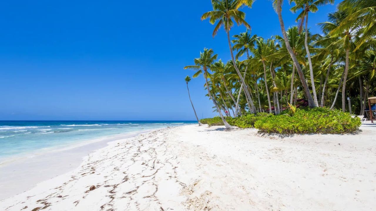 Saona Island: Full-Day Boat Tour with Drinks & Buffet Lunch - Photo 3 (Gallery view)