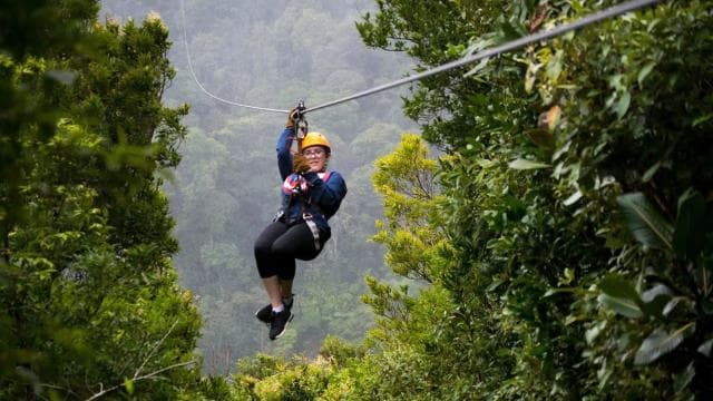 Monteverde: Jungle Zipline & Tarzan Swing with Transfer - Photo 2 (Gallery view)
