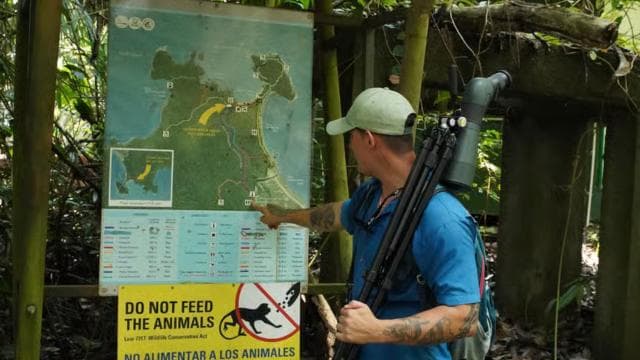 Manuel Antonio National Park: All-Inclusive Guided Tour - Photo 2 (Gallery view)