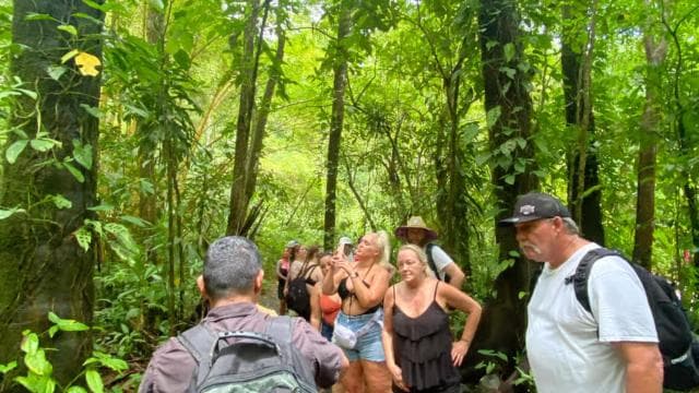 Jaco: 10 Hidden Waterfalls Hike with Local Food Experience - Photo 5 (Gallery view)