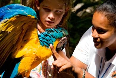 Puerto Plata: Ocean World Adventure Park Day Pass - Photo 4 (Gallery view)