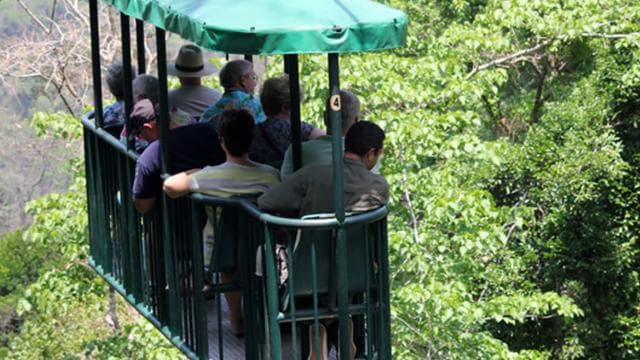 Jaco Beach: Pacific Aerial Tram at Rainforest Adventures - Photo 4 (Gallery view)