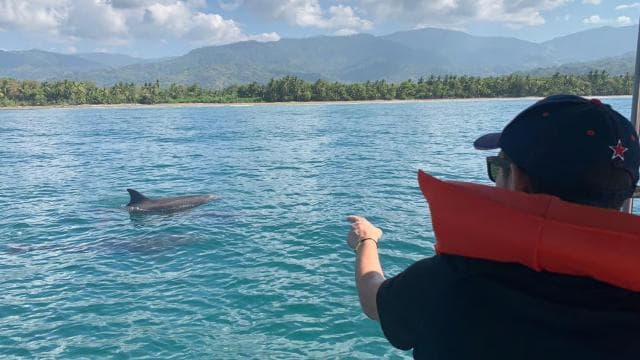 Marino Ballena National Park: Watching Whales and Dolphins - Dominican Republic