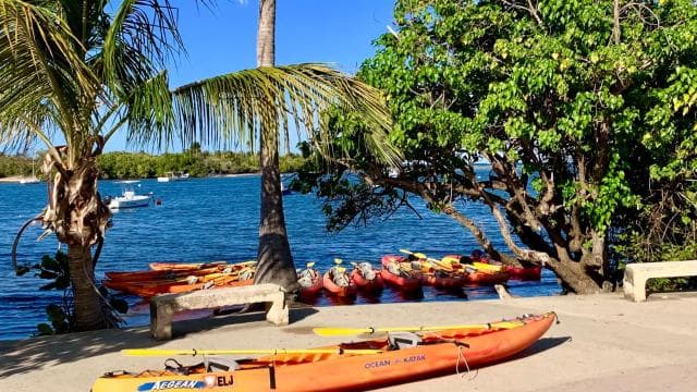 Fajardo: Bioluminescent Lagoon Kayak or Full Moon Kayak Tour - Photo 2 (Gallery view)